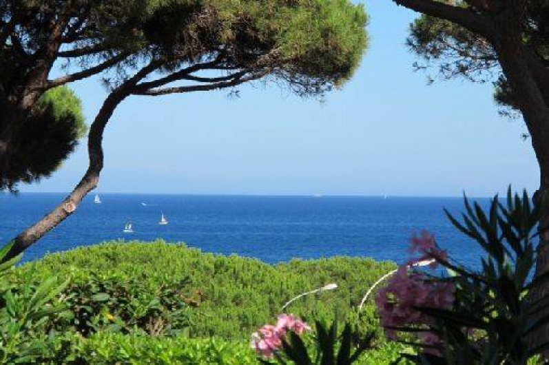 Location de vacances - Appartement à Sainte-Maxime