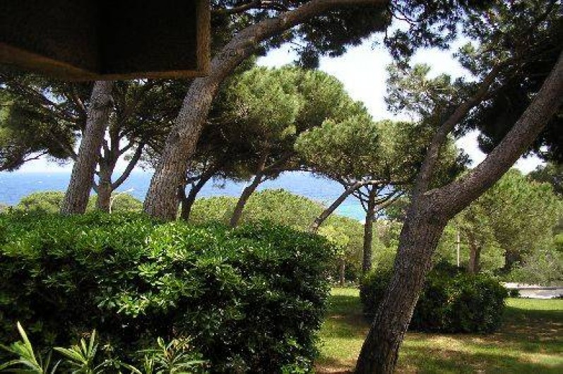Location de vacances - Appartement à Sainte-Maxime