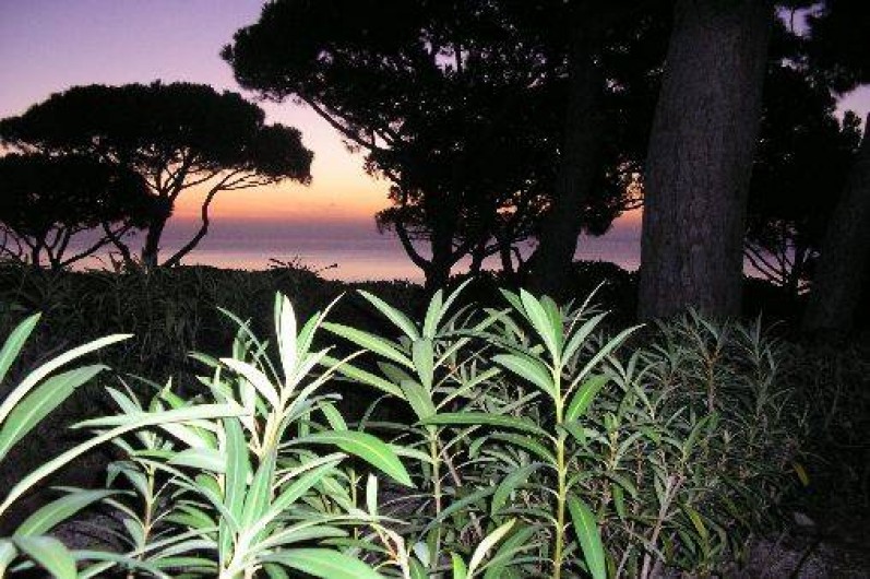 Location de vacances - Appartement à Sainte-Maxime