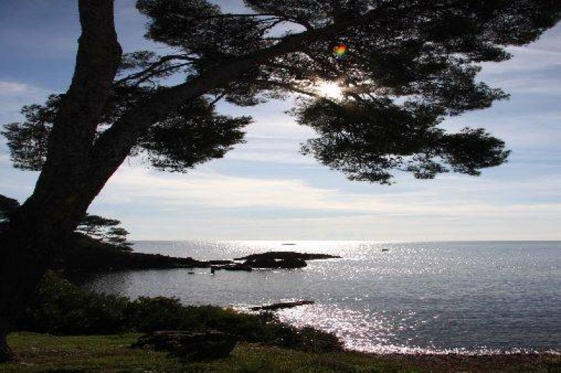 Location de vacances - Appartement à Saint-Raphaël