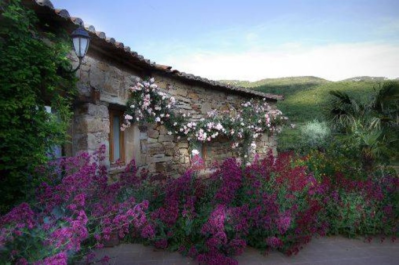 Location de vacances - Gîte à Saint-Privat