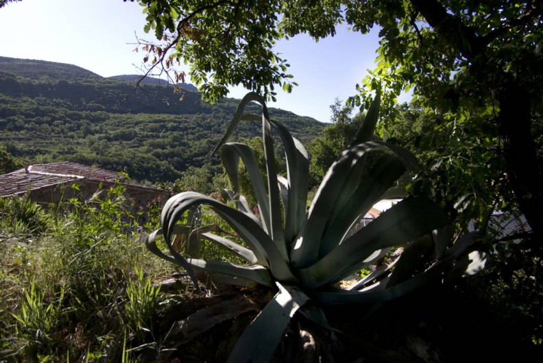 Location de vacances - Gîte à Saint-Privat