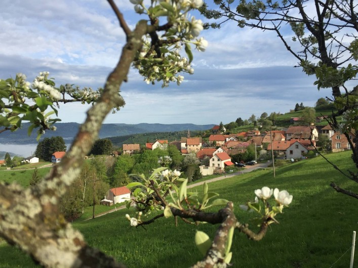 Location de vacances - Appartement à Belmont