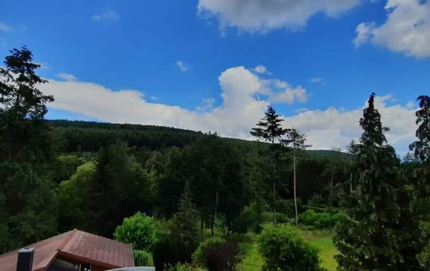 Location de vacances - Chalet à Weiterswiller