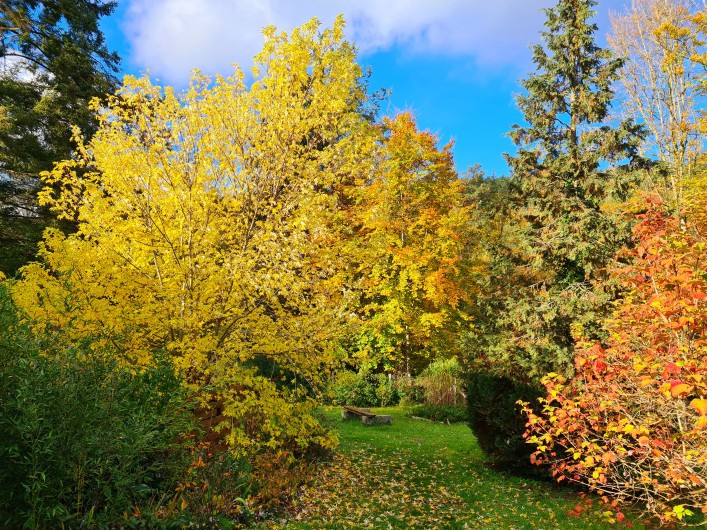 Location de vacances - Chalet à Weiterswiller