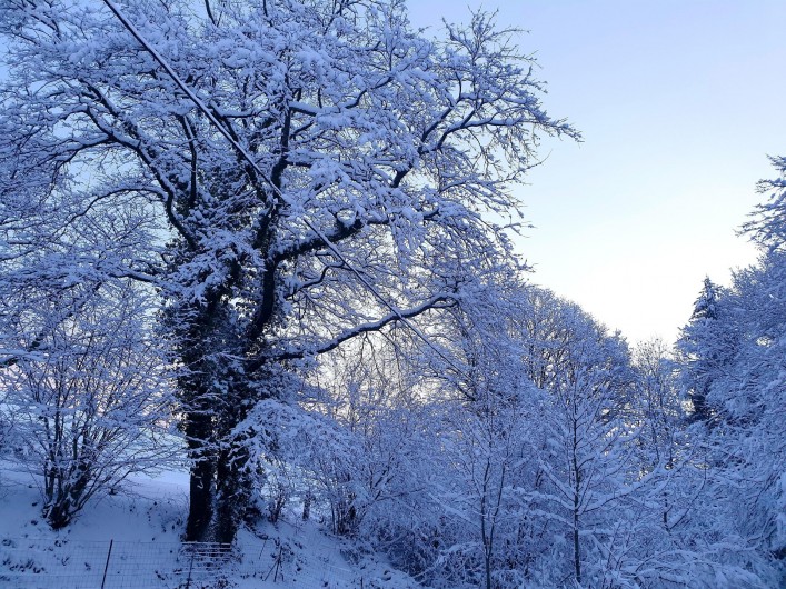 Location de vacances - Chalet à Weiterswiller