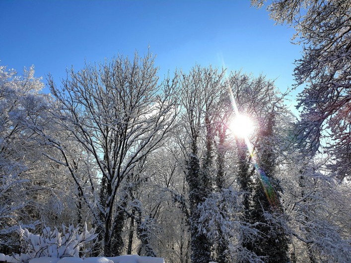 Location de vacances - Chalet à Weiterswiller
