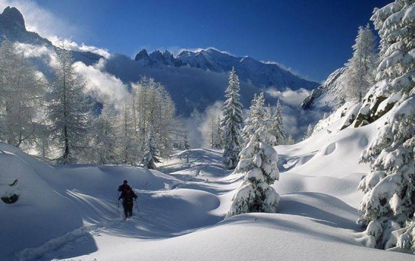 Location de vacances - Appartement à Le Grand-Bornand