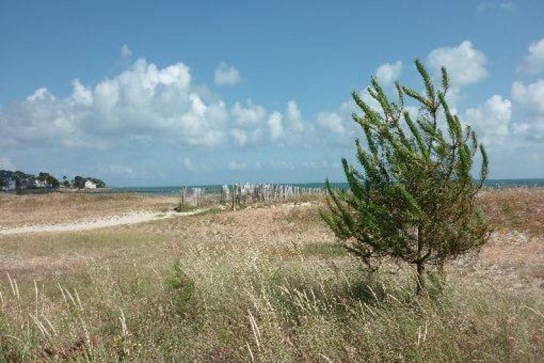 Location de vacances - Studio à Carnac