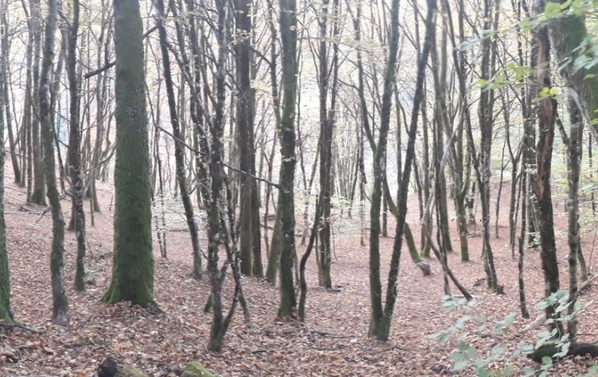 Location de vacances - Chalet à Saint-Maurice-sur-Moselle