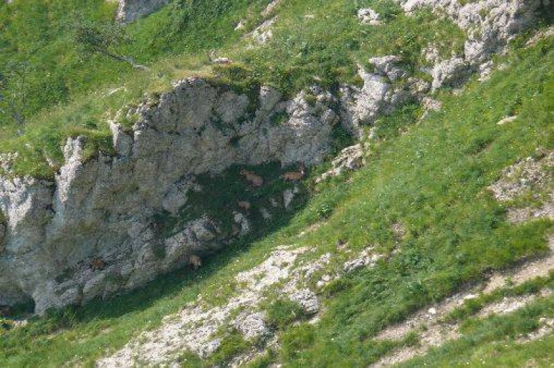 Location de vacances - Gîte à Les Rousses