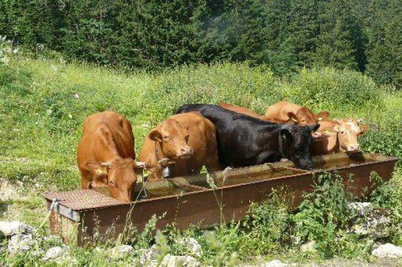 Location de vacances - Gîte à Les Rousses
