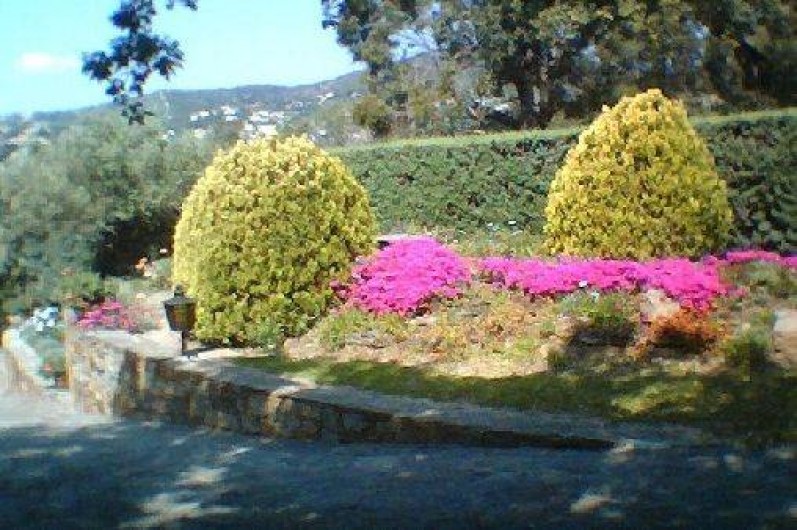 Location de vacances - Appartement à Le Lavandou