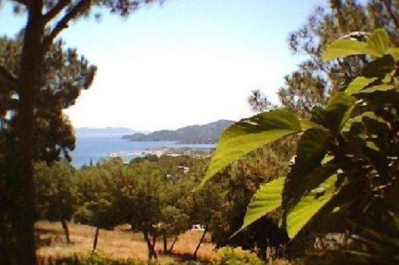 Location de vacances - Appartement à Le Lavandou