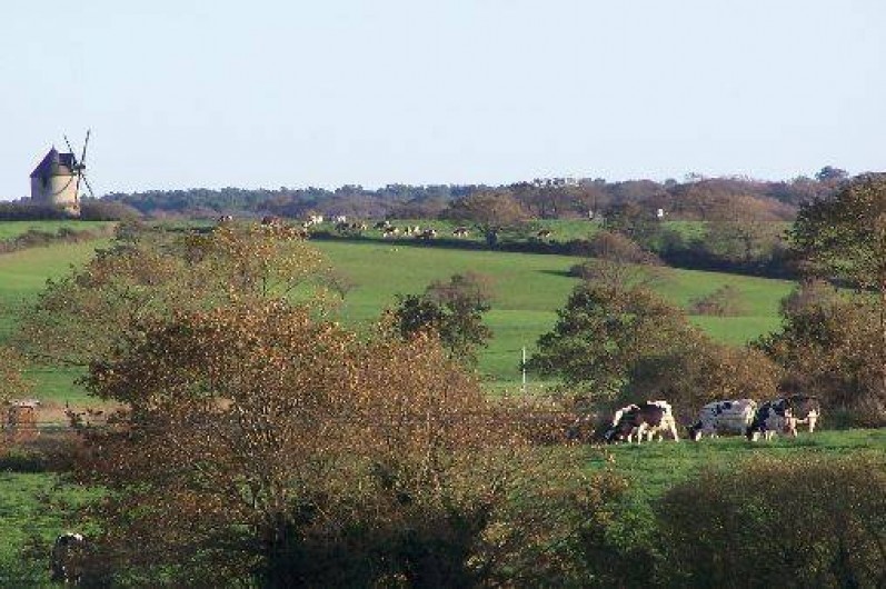 Location de vacances - Gîte à Arzal