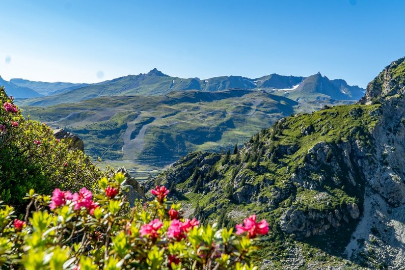 Location de vacances - Studio à La Rosière - La montagne en été