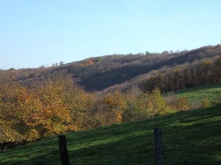 Location de vacances - Gîte à Coupiac - vue