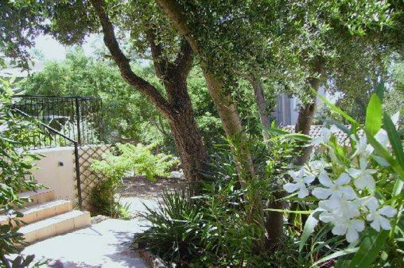 Location de vacances - Studio à Le Lavandou