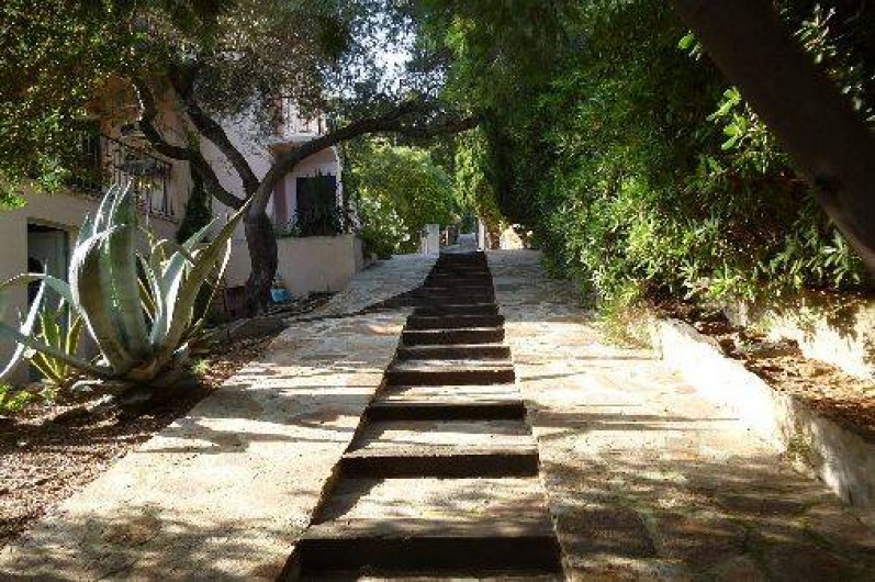 Location de vacances - Studio à Le Lavandou