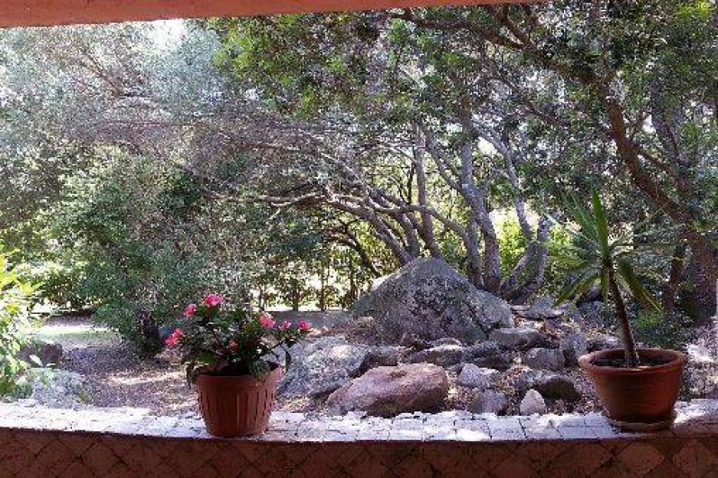 Location de vacances - Maison - Villa à Porto-Vecchio