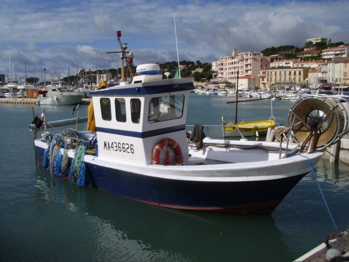 Location de vacances - Appartement à Cassis - le port de Cassis