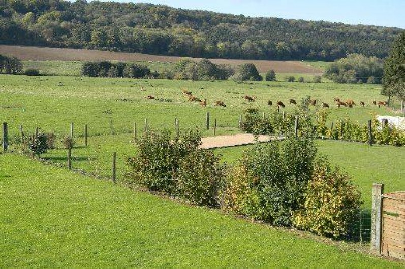 Location de vacances - Gîte à Torcy-le-Grand