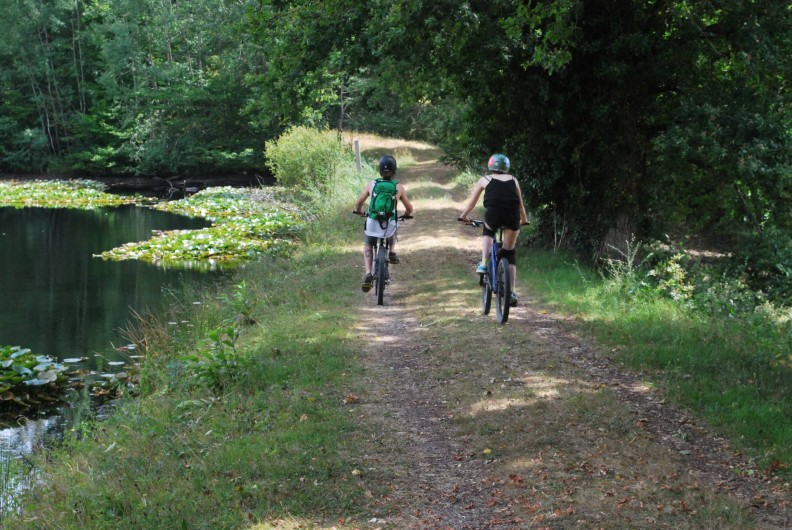 Location de vacances - Gîte à Eygurande-et-Gardedeuil - Randonnées Gîte de la Guirandole-Eygurande et Gardedeuil-Dordogne