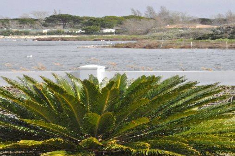 Location de vacances - Villa à Le Grau-du-Roi