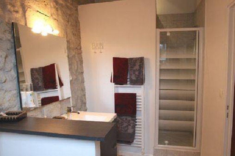 Location de vacances - Gîte à Rochecorbon