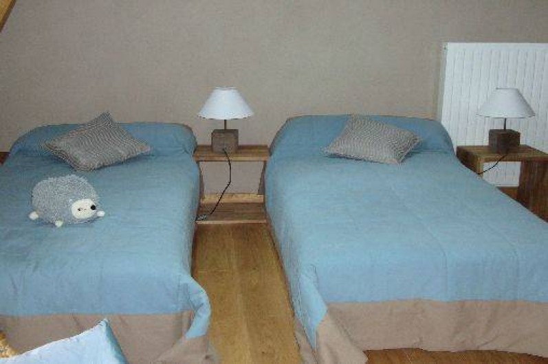 Location de vacances - Gîte à Alleuze