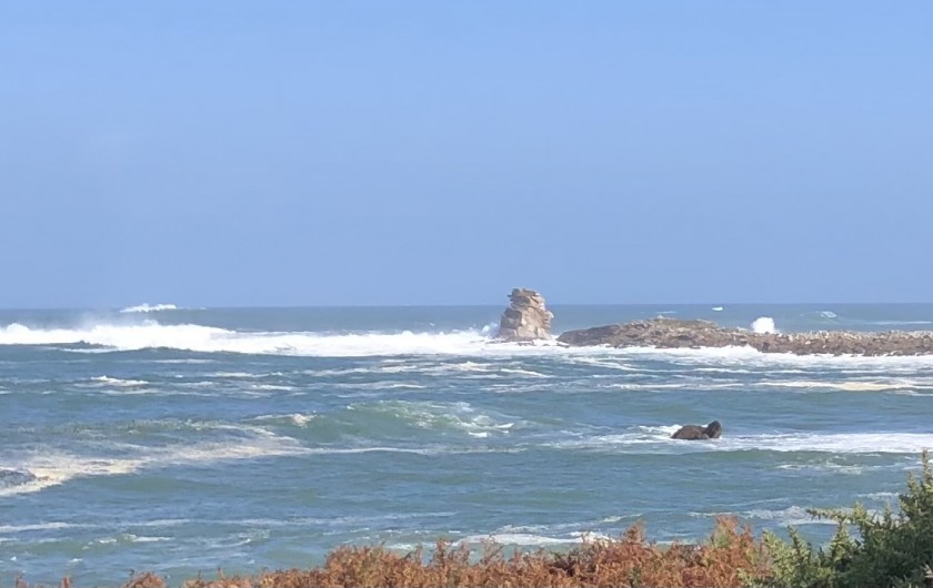 Location de vacances - Maison - Villa à Pleumeur-Bodou - Vue du chemin des douaniers à 5mn à pied
