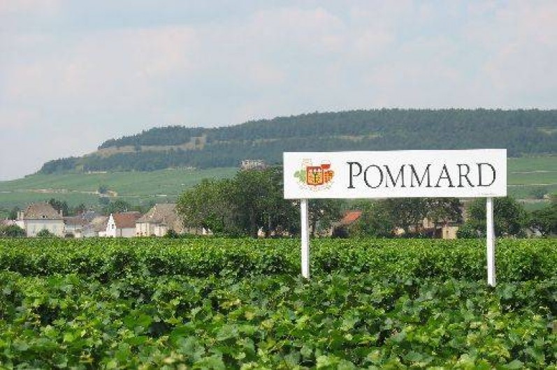 Location de vacances - Appartement à Pommard