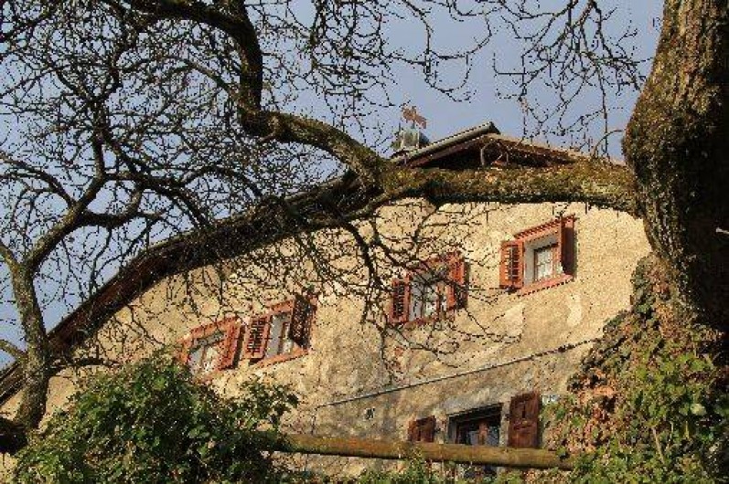 Location de vacances - Maison - Villa à Marignier