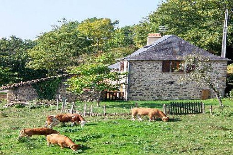 Location de vacances - Gîte à Terrasson-Lavilledieu