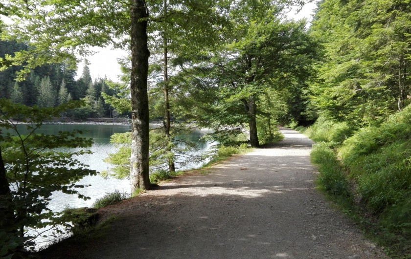 Location de vacances - Gîte à La Bresse