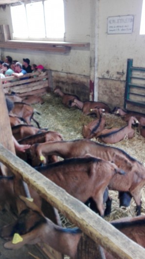 Location de vacances - Gîte à La Bresse