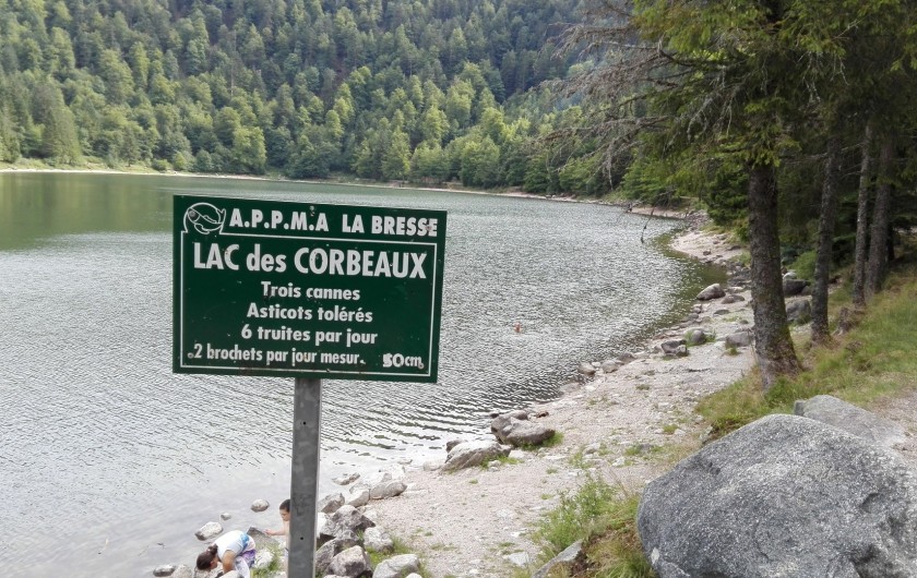 Location de vacances - Gîte à La Bresse