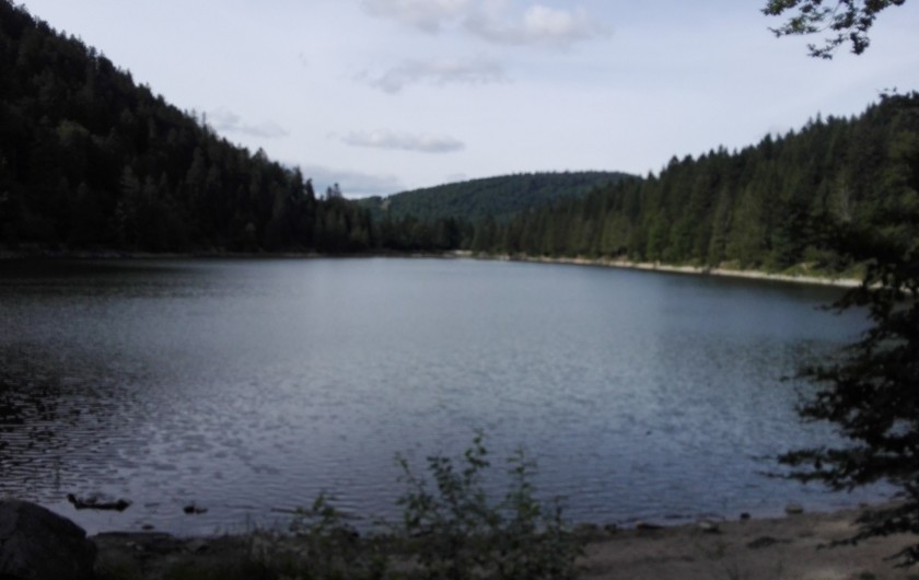 Location de vacances - Gîte à La Bresse