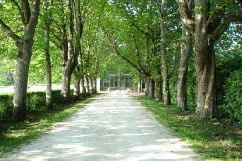 Location de vacances - Gîte à Mer