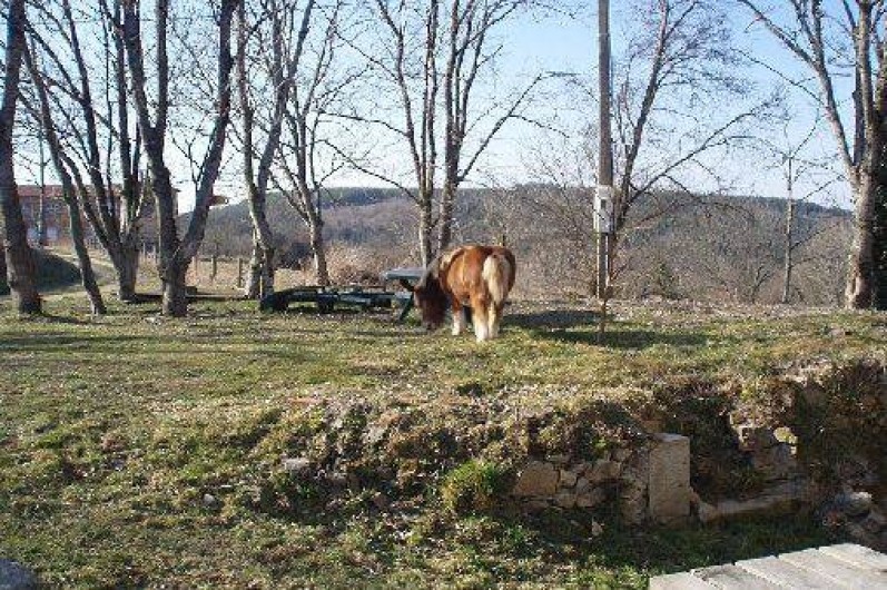 Location de vacances - Villa à Busset