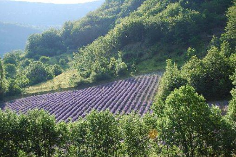 Location de vacances - Maison - Villa à Chaudebonne
