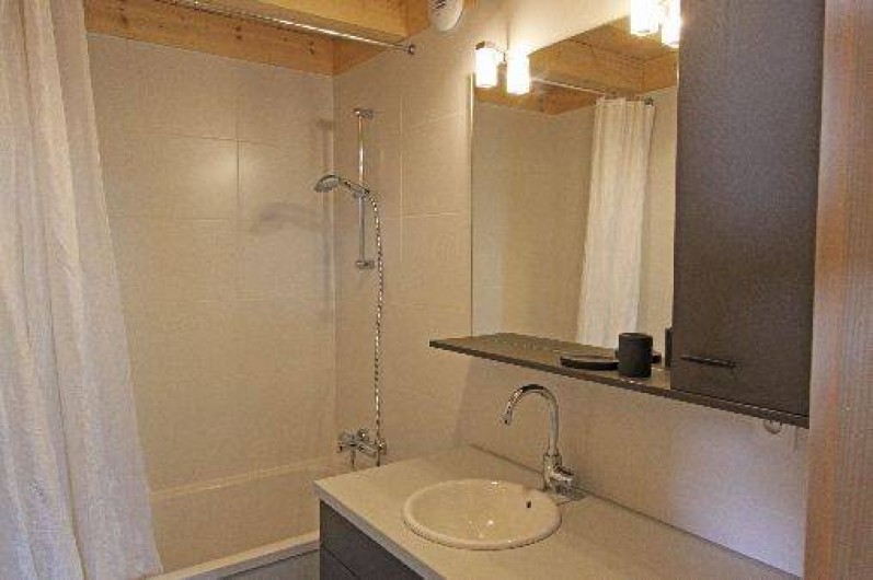 Location de vacances - Gîte à Annecy - Salle de bains