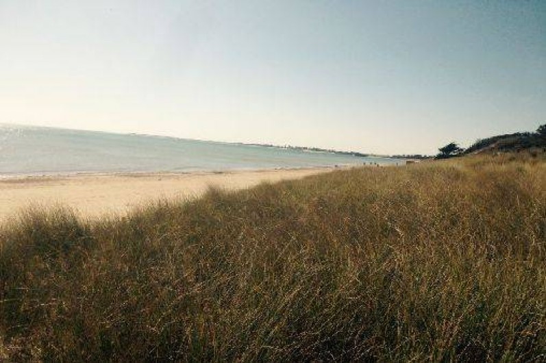 Location de vacances - Villa à La Couarde-sur-Mer
