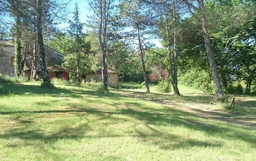 Location de vacances - Gîte à Servas - Une partie du parc près de  la piscine