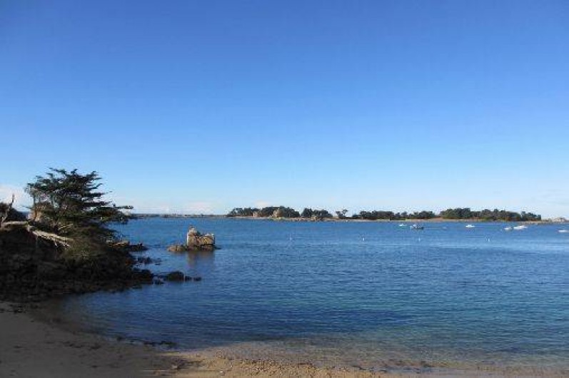 Location de vacances - Gîte à Penvénan