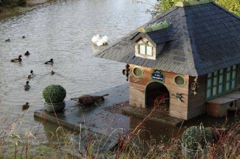Location de vacances - Gîte à Mandeville-en-Bessin