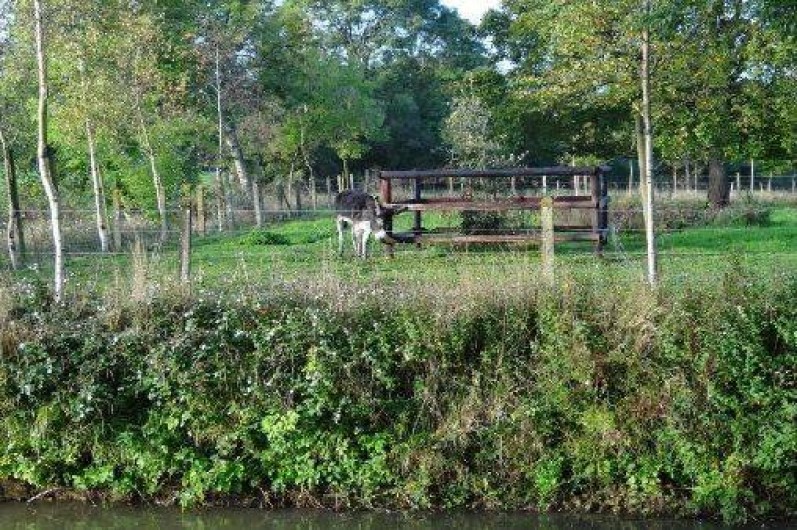 Location de vacances - Gîte à Mandeville-en-Bessin