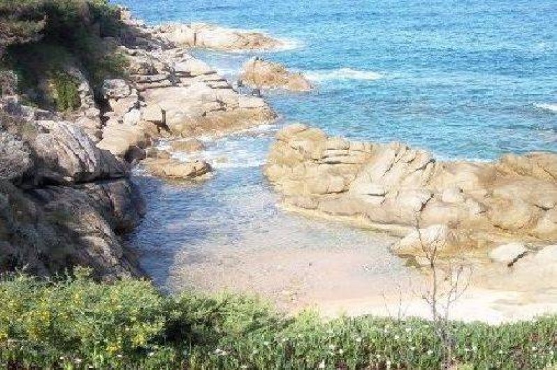 Location de vacances - Maison - Villa à Pietrosella