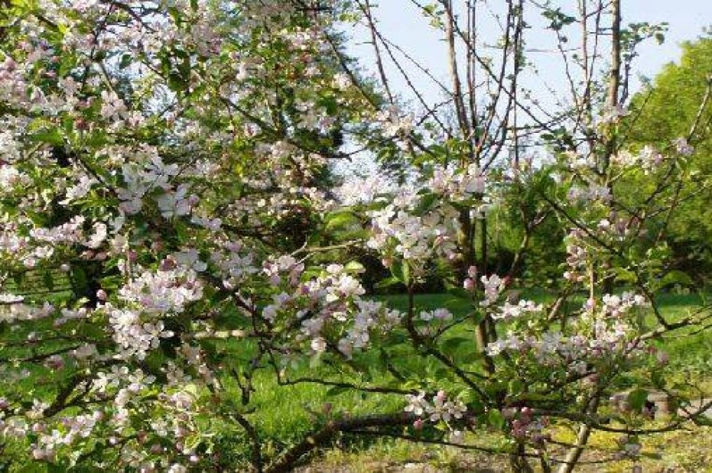 Location de vacances - Gîte à Audrehem