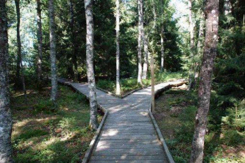 Location de vacances - Appartement à Frasne